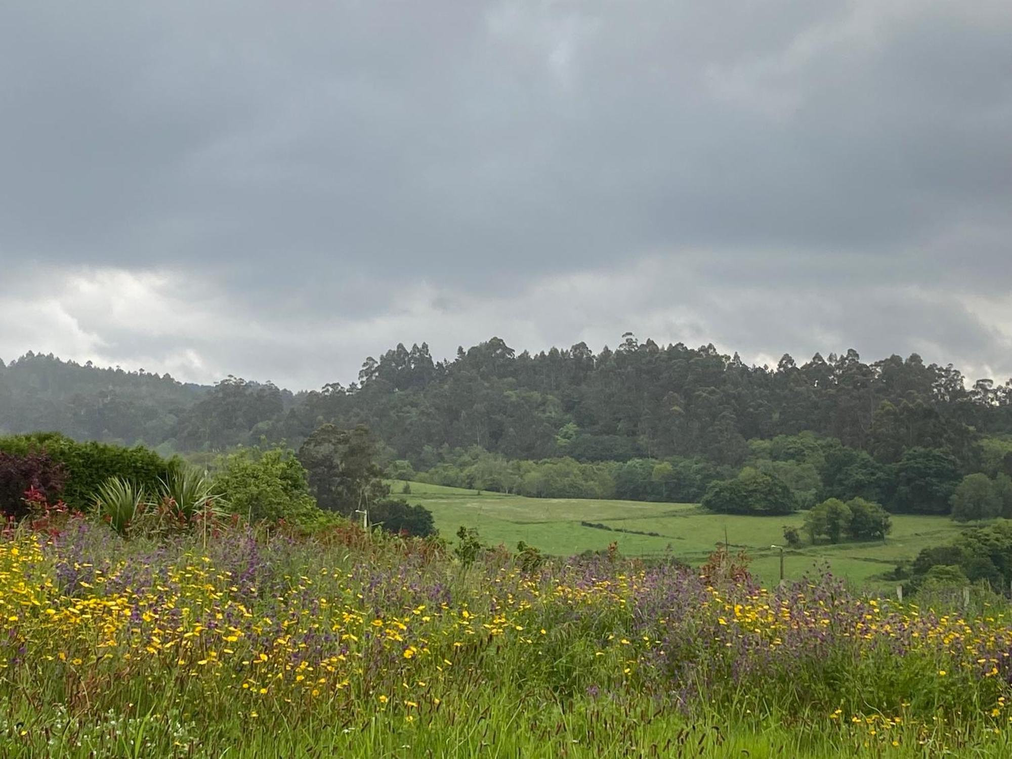 Casa Vanguardista En El Campo Cerca De Santiago Pontevedra
